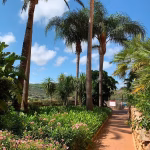 Apartamento en alquiler en Sotogrande